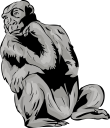 Gorilla Clipart