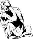 Gorilla Clipart