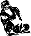 Gorilla Clipart