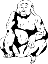 Gorilla Clipart