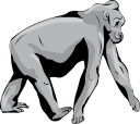 Gorilla Clipart