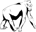 Gorilla Clipart