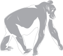 Gorilla Clipart