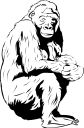 Gorilla Clipart