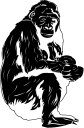 Gorilla Clipart