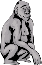 Gorilla Clipart