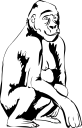 Gorilla Clipart