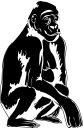 Gorilla Clipart