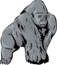 Gorilla Clipart