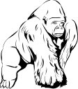 Gorilla Clipart