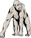 Gorilla Clipart