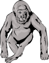 Gorilla Clipart