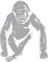 Gorilla Clipart