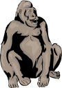 Gorilla Clipart