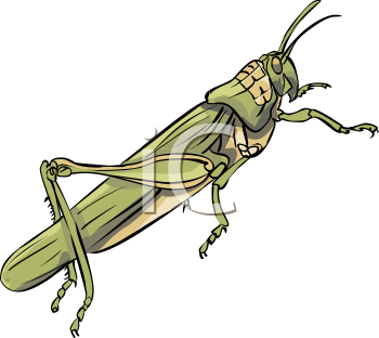 Grasshopper Clipart