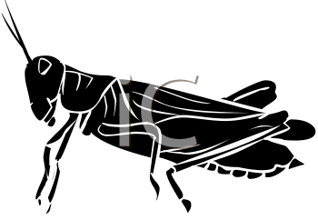 Grasshopper Clipart