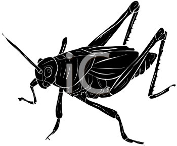 Grasshopper Clipart