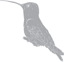 Hummingbird Clipart