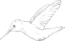 Hummingbird Clipart