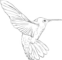 Hummingbird Clipart