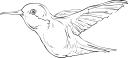 Hummingbird Clipart