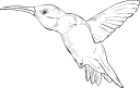 Hummingbird Clipart