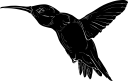 Hummingbird Clipart