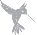 Hummingbird Clipart