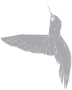 Hummingbird Clipart
