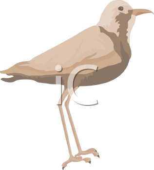 Crane Clipart