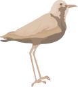 Crane Clipart