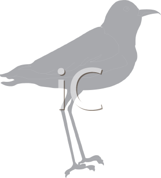 Crane Clipart