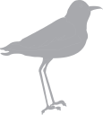 Crane Clipart