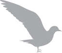 Crane Clipart