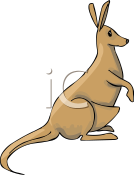 Kangaroo Clipart