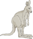 Kangaroo Clipart