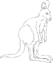 Kangaroo Clipart