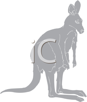 Kangaroo Clipart