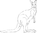 Kangaroo Clipart