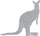 Kangaroo Clipart