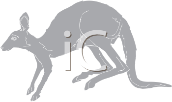 Kangaroo Clipart