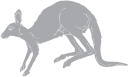 Kangaroo Clipart