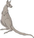 Kangaroo Clipart