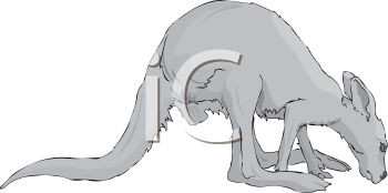 Kangaroo Clipart