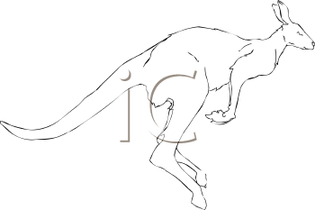 Kangaroo Clipart