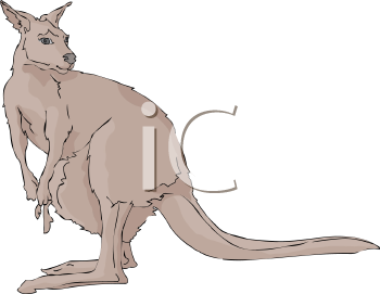 Kangaroo Clipart