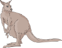 Kangaroo Clipart