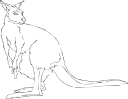 Kangaroo Clipart