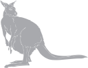 Kangaroo Clipart