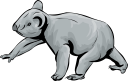 Koala Clipart